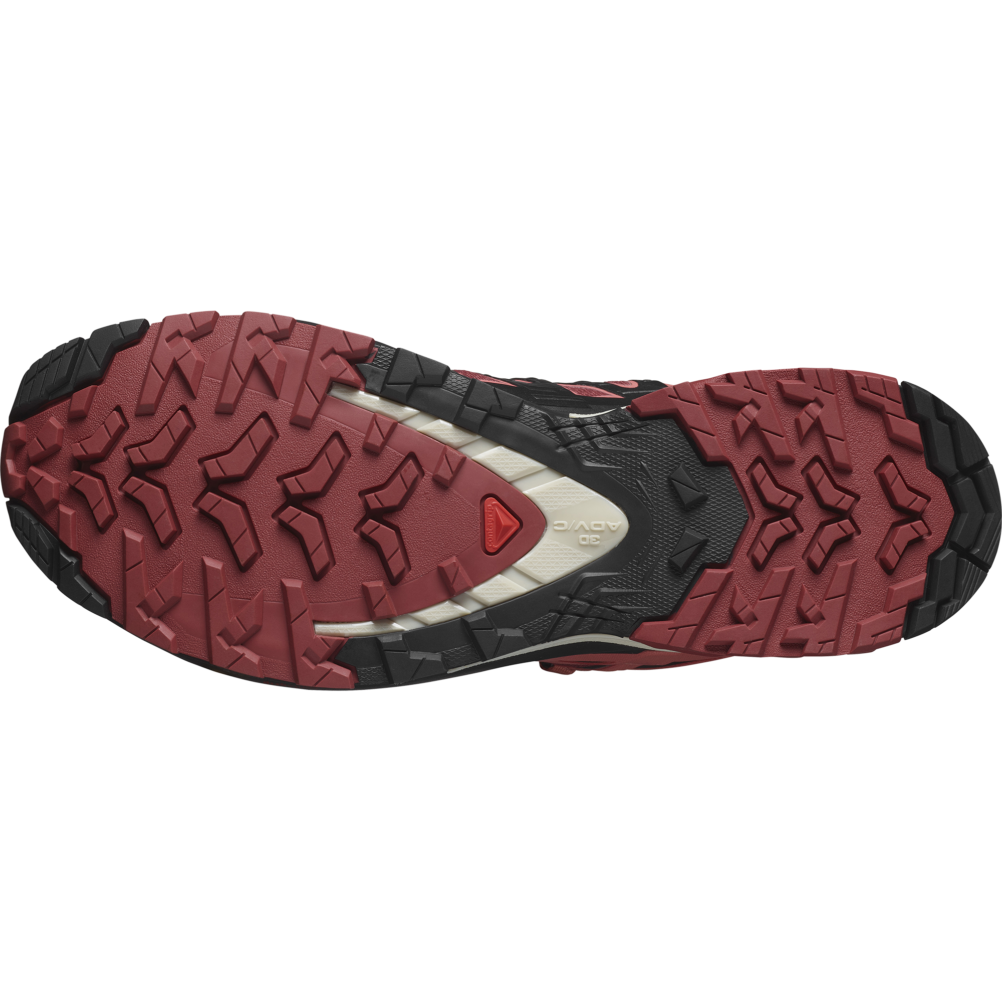Salomon XA Pro 3D V9 GTX Women - cow hide/black/faded rose