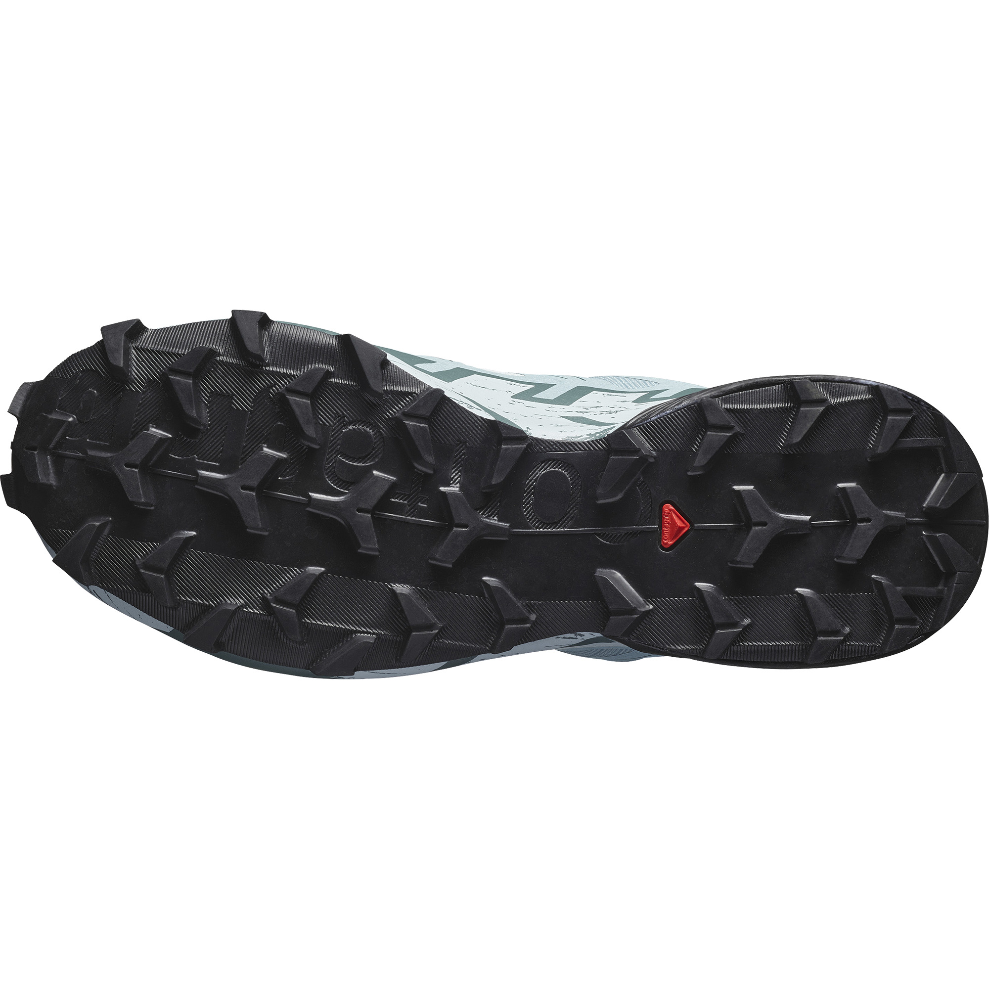 Salomon Speedcross 6 GTX Women -  ballad/blue black/tourmaline