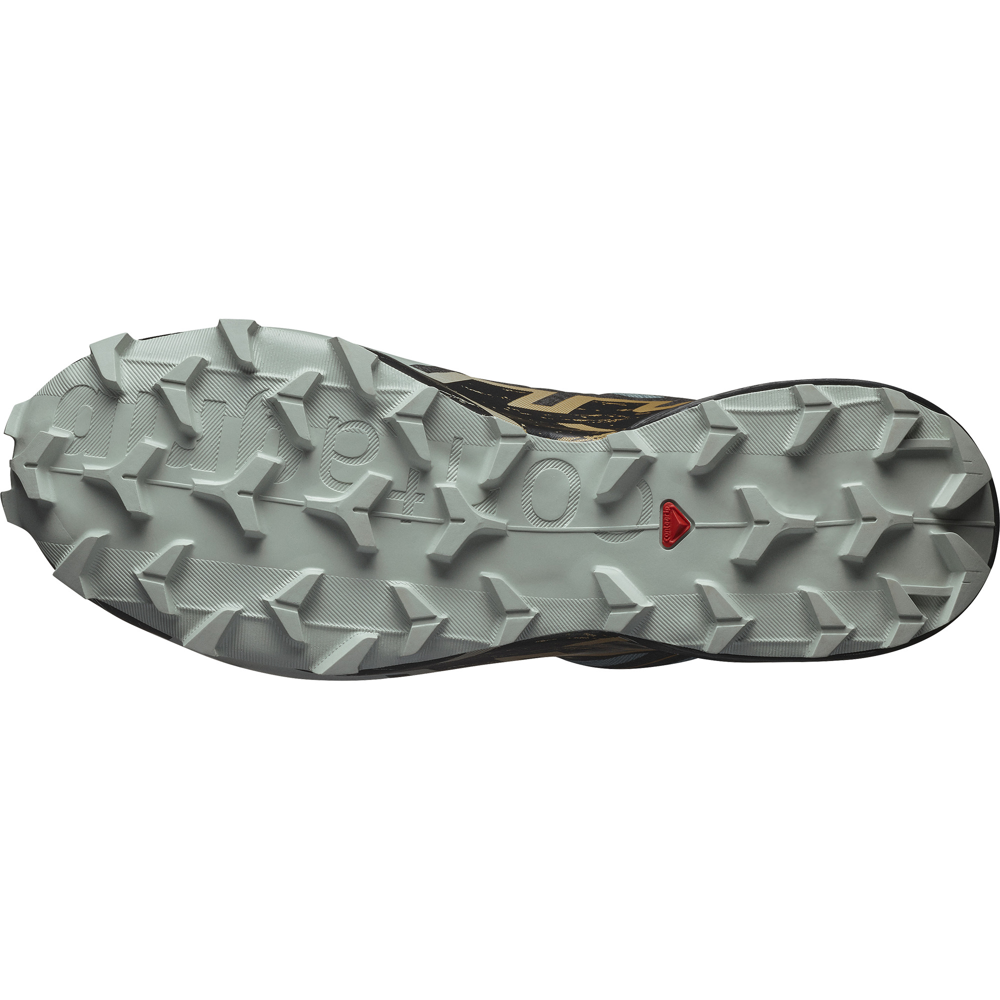 Salomon Speedcross 6 GTX - MEN trooper/black/wood trush