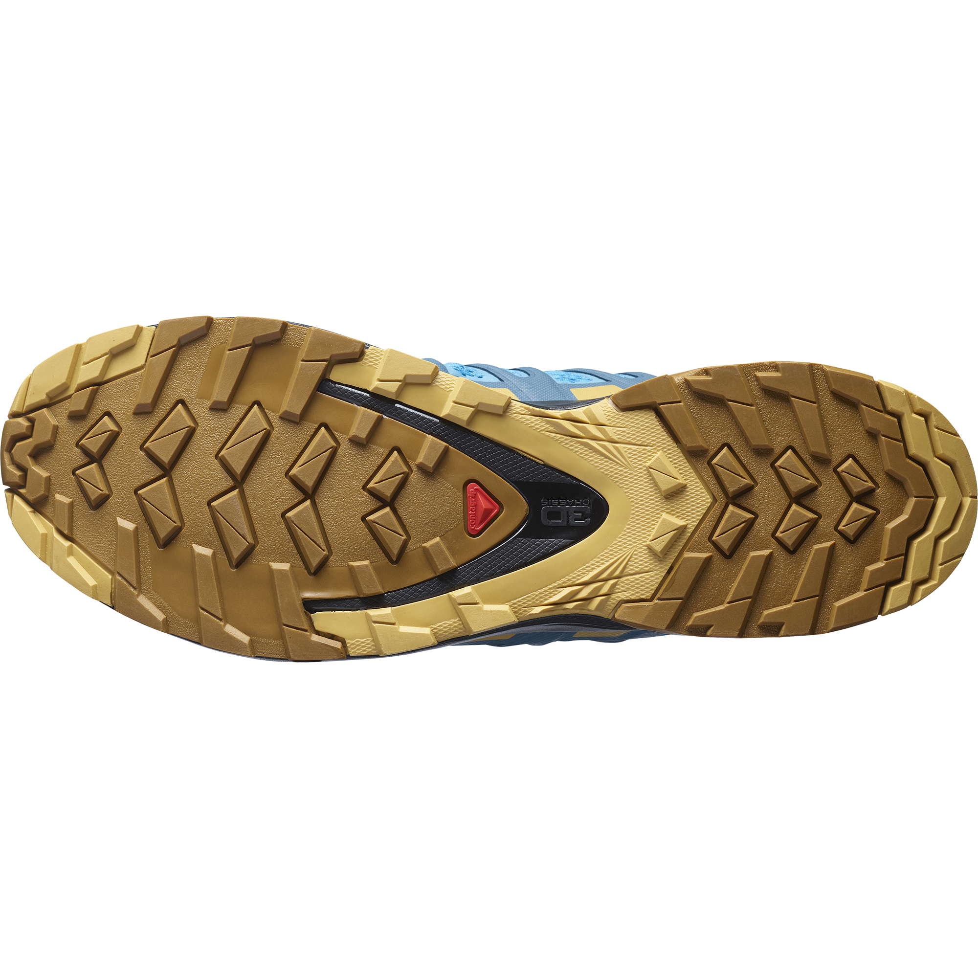 Salomon XA Pro 3D V8 - MEN - barrier reef/fall leaf/bronze brown
