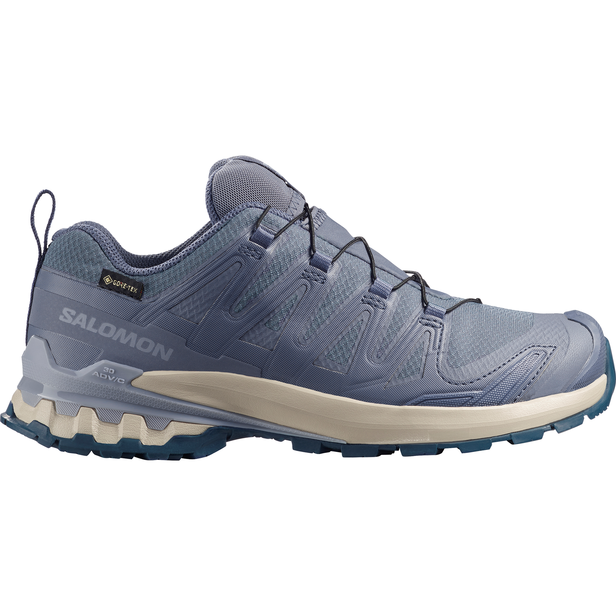 Salomon XA Pro 3D V9 GTX Women - grisaille/tradewinds/spellbound